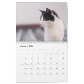 Bengaalse katten 2025 Kalender (Jan 2026)