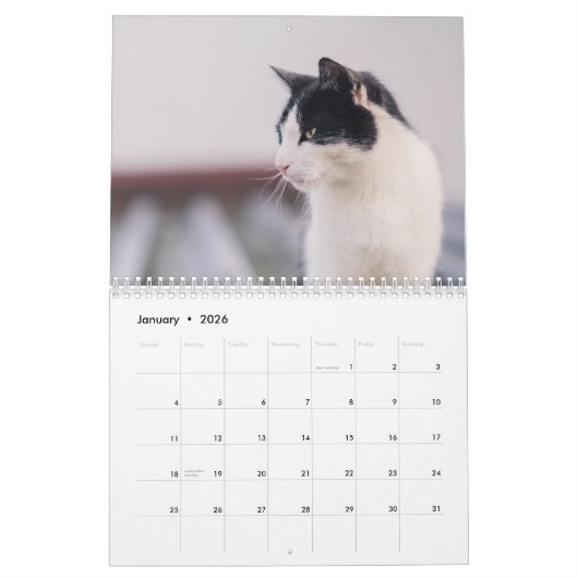 Bengaalse katten 2025 Kalender (Jan 2026)