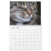 Bengaalse katten 2025 Kalender (Mar 2027)