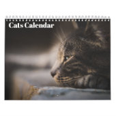 Bengaalse katten 2025 Kalender (Hoes)