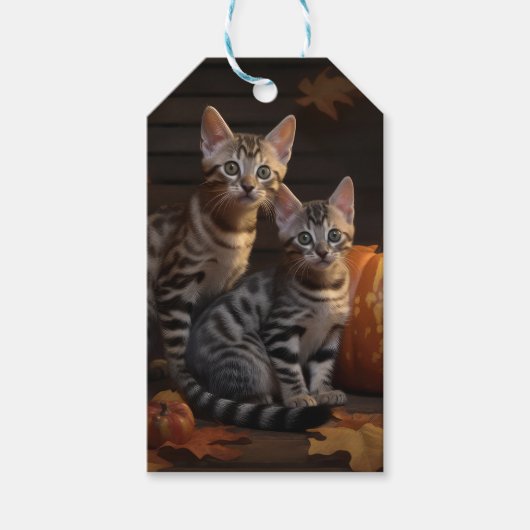 Bengaalse Kitten Herfst Delight Pompoen Cadeaulabel (Voorkant)