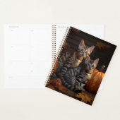 Bengaalse Kitten Herfst Delight Pompoen Planner (Display)