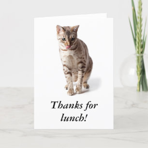 Bengaalse kitten zegt bedankt voor de lunch
