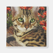 Bengaalse magneten (Voorkant)