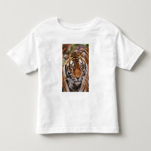 Bengaalse Tijger, Panthera tigris Kinder Shirts