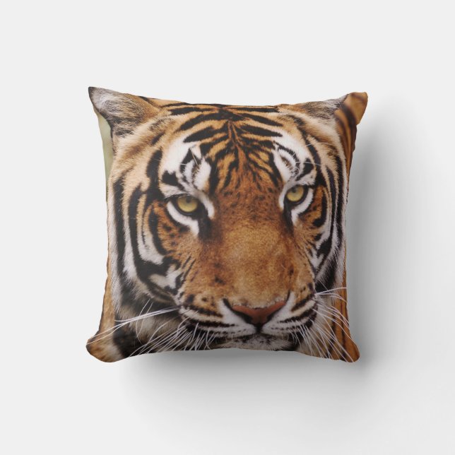 Bengaalse Tijger, Panthera tigris Kussen (Voorkant)