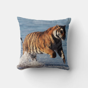 Bengaalse Tijger (Panthera Tigris) Kussen