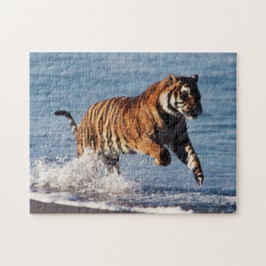 Bengaalse Tijger (Panthera Tigris) Legpuzzel (Horizontaal)