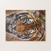 Bengaalse Tijger, Panthera tigris Legpuzzel (Horizontaal)