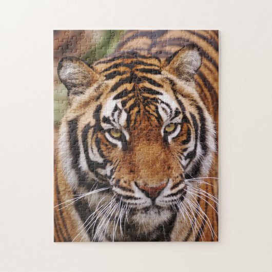 Bengaalse Tijger, Panthera tigris Legpuzzel (Verticaal)