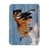 Bengaalse Tijger (Panthera Tigris) Magneet (Verticaal)