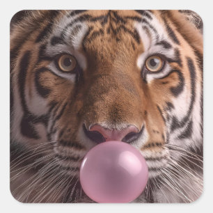 Bengaalse Tijger Portret Blaast Roze Kauwgom Bubbe Vierkante Sticker
