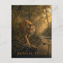 Bengaalse Tijger Sal Woud DIEREN