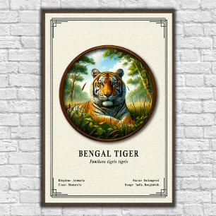 Bengaalse Tijger Zoölogische Serie Poster