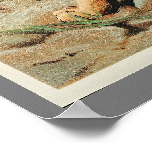  Bengaalse tijgerillustratie oud Antiek Poster (Hoek)