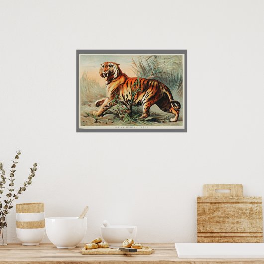 Bengaalse tijgerillustratie oud Antiek Poster (Keuken)