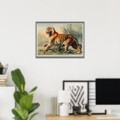  Bengaalse tijgerillustratie oud Antiek Poster (Thuiskantoor)