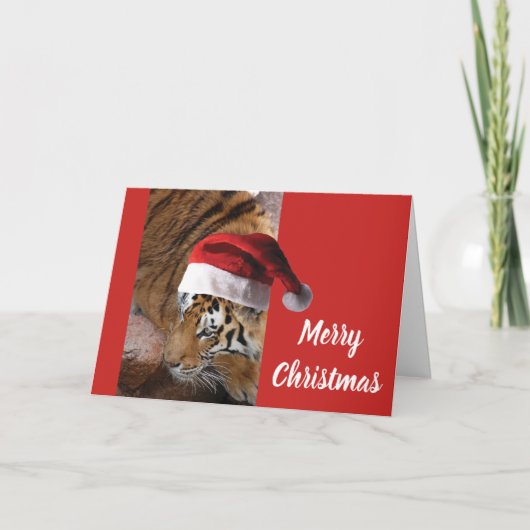 Bengaalse tijgerkerstman kaart (Voorkant)