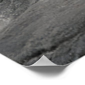 Bengaalse witte tijger liggend op de rots poster (Hoek)