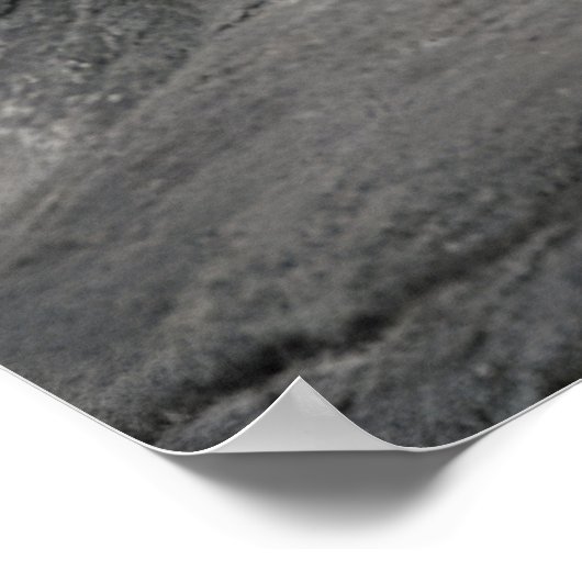 Bengaalse witte tijger liggend op de rots poster (Hoek)