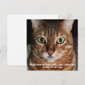 Bengal Cat Face Foto "Zou je een cadeau hebben geg Feestdagenkaart (Voorkant / Achterkant)