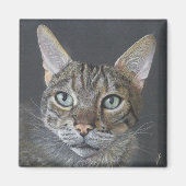 Bengal Cat magnet (Voorkant)