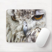 Bengal Eagle Owl Muismat (Met muis)