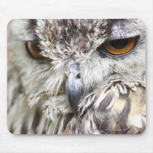 Bengal Eagle Owl Muismat (Voorkant)