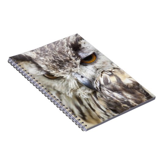 Bengal Eagle Owl Notitieboek (Rechterzijde)