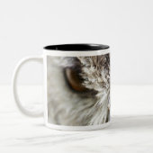 Bengal Eagle Owl Tweekleurige Koffiemok (Links)