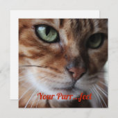 Bengal Kat Foto Valentijnsdag Kaart (Voorkant / Achterkant)