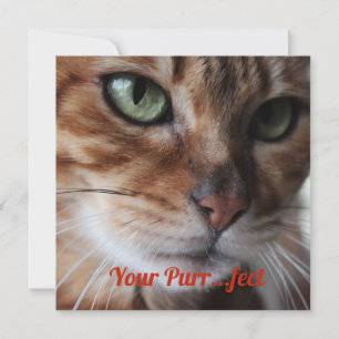 Bengal Kat Foto Valentijnsdag Kaart