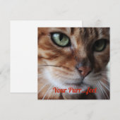 Bengal Kat Foto Valentijnskaart Feestdagenkaart (Voorkant / Achterkant)