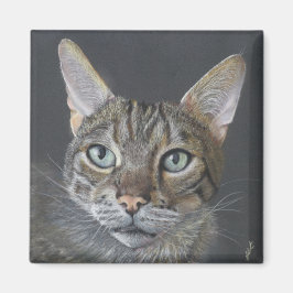 Bengal Kat magneet