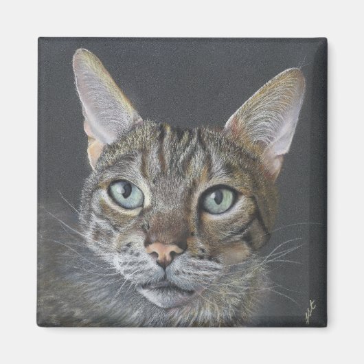 Bengal Kat magneet (Voorkant)