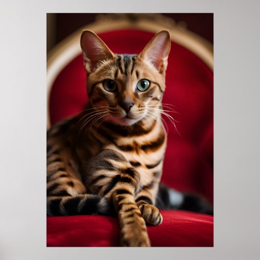 Bengal Kat Portret Fijne Kunst Poster — Koninklijk (Voorkant)