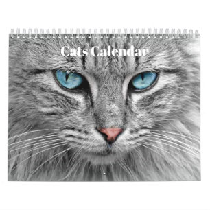 Bengal Katten 2027 Kalender