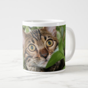 BENGAL KITTEN IN POTHOS GROTE KOFFIEKOP