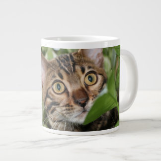 BENGAL KITTEN IN POTHOS GROTE KOFFIEKOP