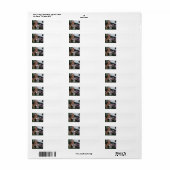 Bengal op standbeeld etiket (Full Sheet)
