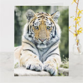 BENGAL TIGER ART BIRTHDAY OVERGEZICHT WENSKAART KAART (Gele Bloem)