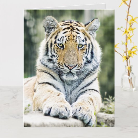 BENGAL TIGER ART BIRTHDAY OVERGEZICHT WENSKAART KAART (Gele Bloem)