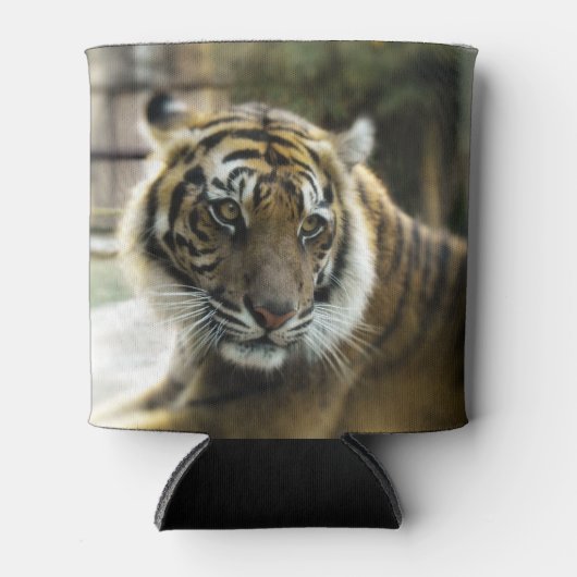 Bengal Tiger Blikjeskoeler (Voorkant)