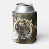 Bengal Tiger Blikjeskoeler (Blikje Achterkant)