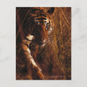 Bengal Tiger Briefkaart (Voorkant)