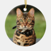 Bengal Tiger Cat Keramisch Ornament (Voorkant)