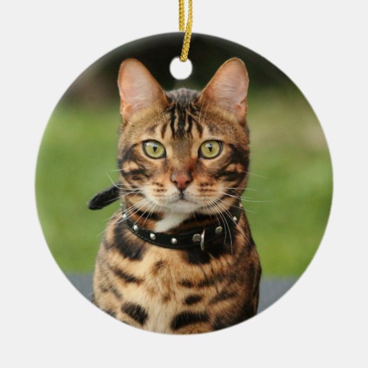 Bengal Tiger Cat Keramisch Ornament (Voorkant)