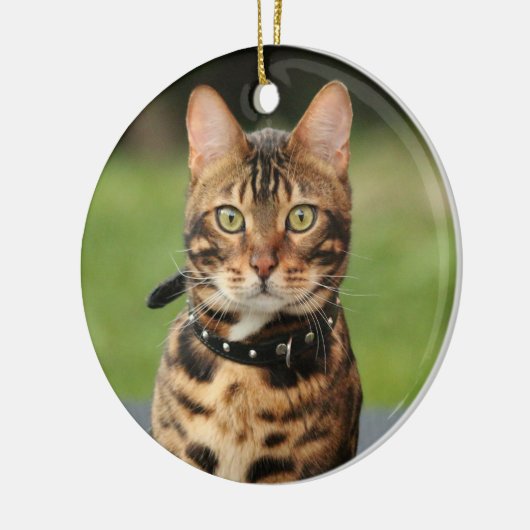 Bengal Tiger Cat Keramisch Ornament (Links)