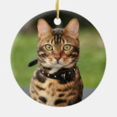 Bengal Tiger Cat Keramisch Ornament (Achterkant)