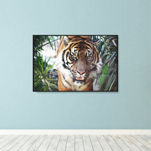 Bengal Tiger die je ziet lopen 2 Canvas Afdruk (Insitu (Houten vloer))